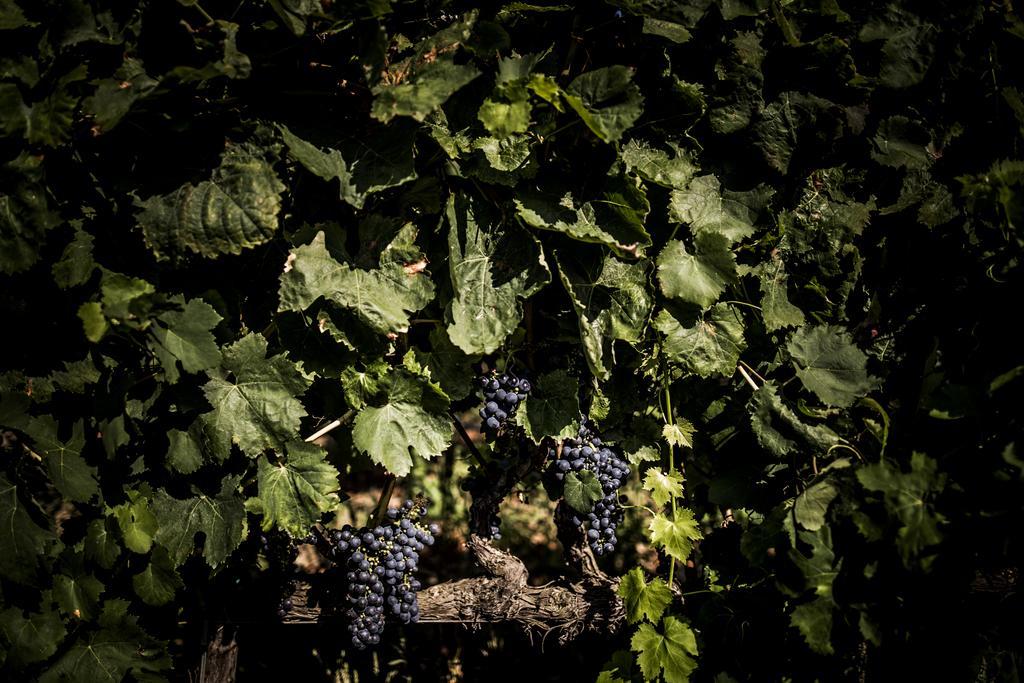 Agriturismo Il Giriatello 크로토네 외부 사진