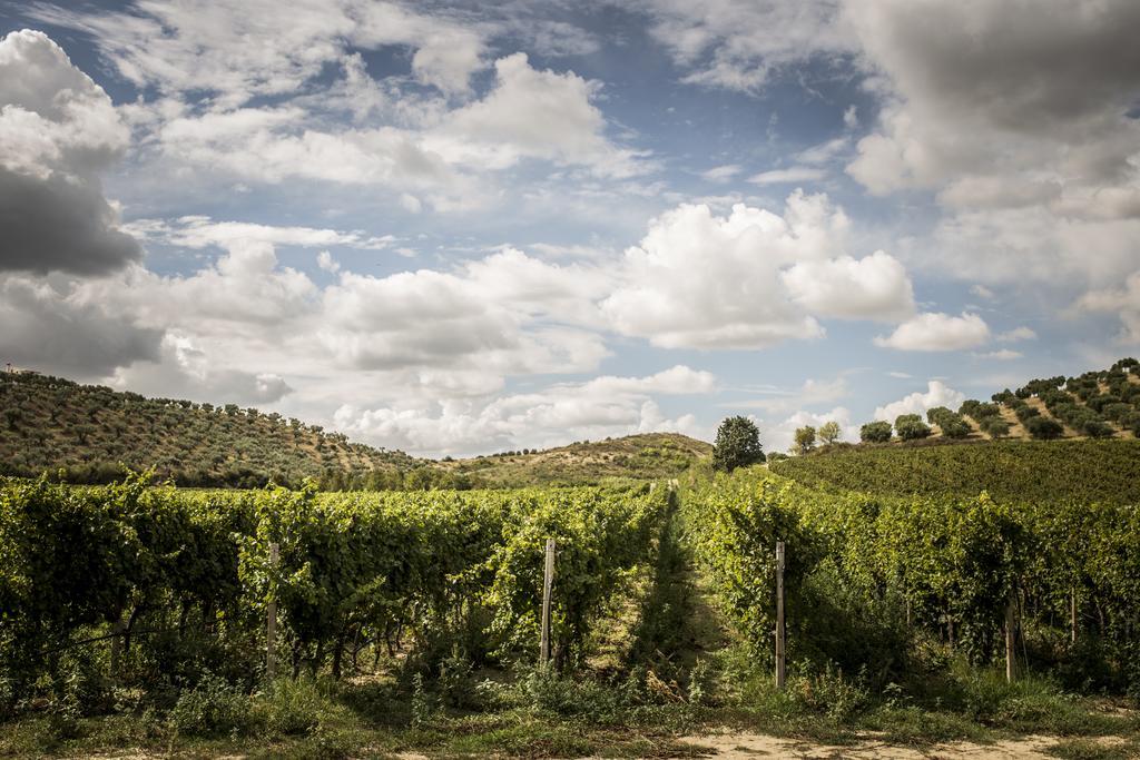 Agriturismo Il Giriatello 크로토네 외부 사진