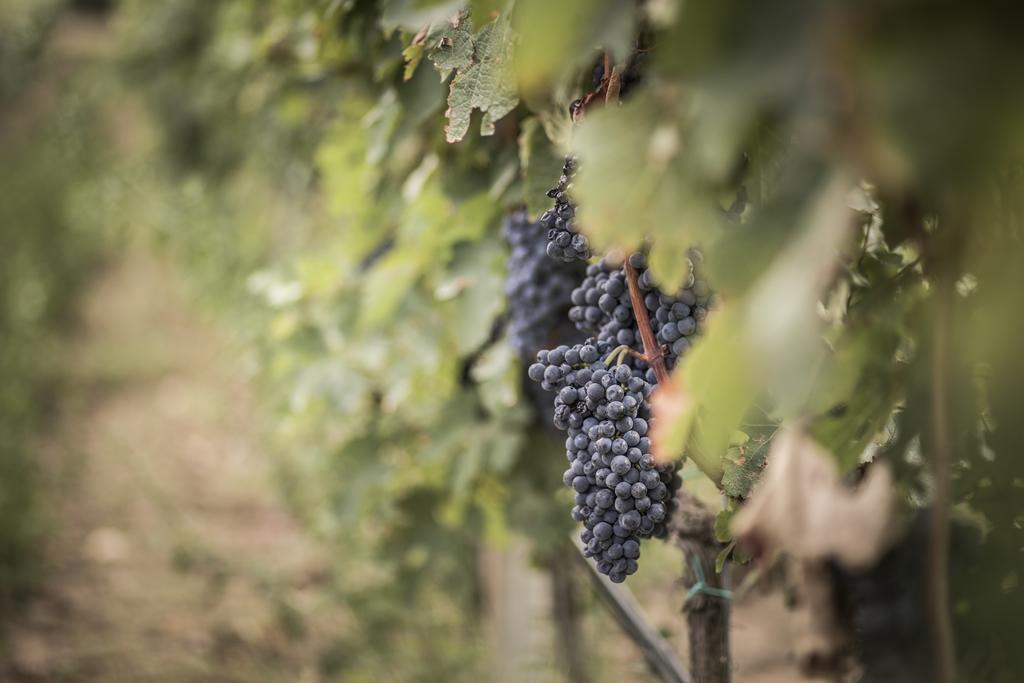 Agriturismo Il Giriatello 크로토네 외부 사진