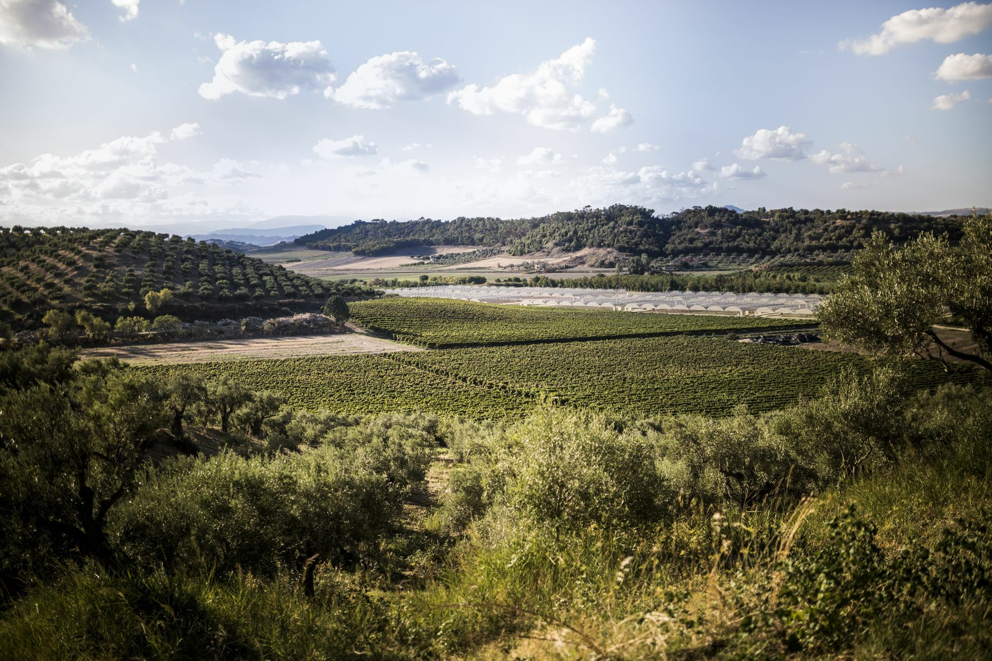 Agriturismo Il Giriatello 크로토네 외부 사진