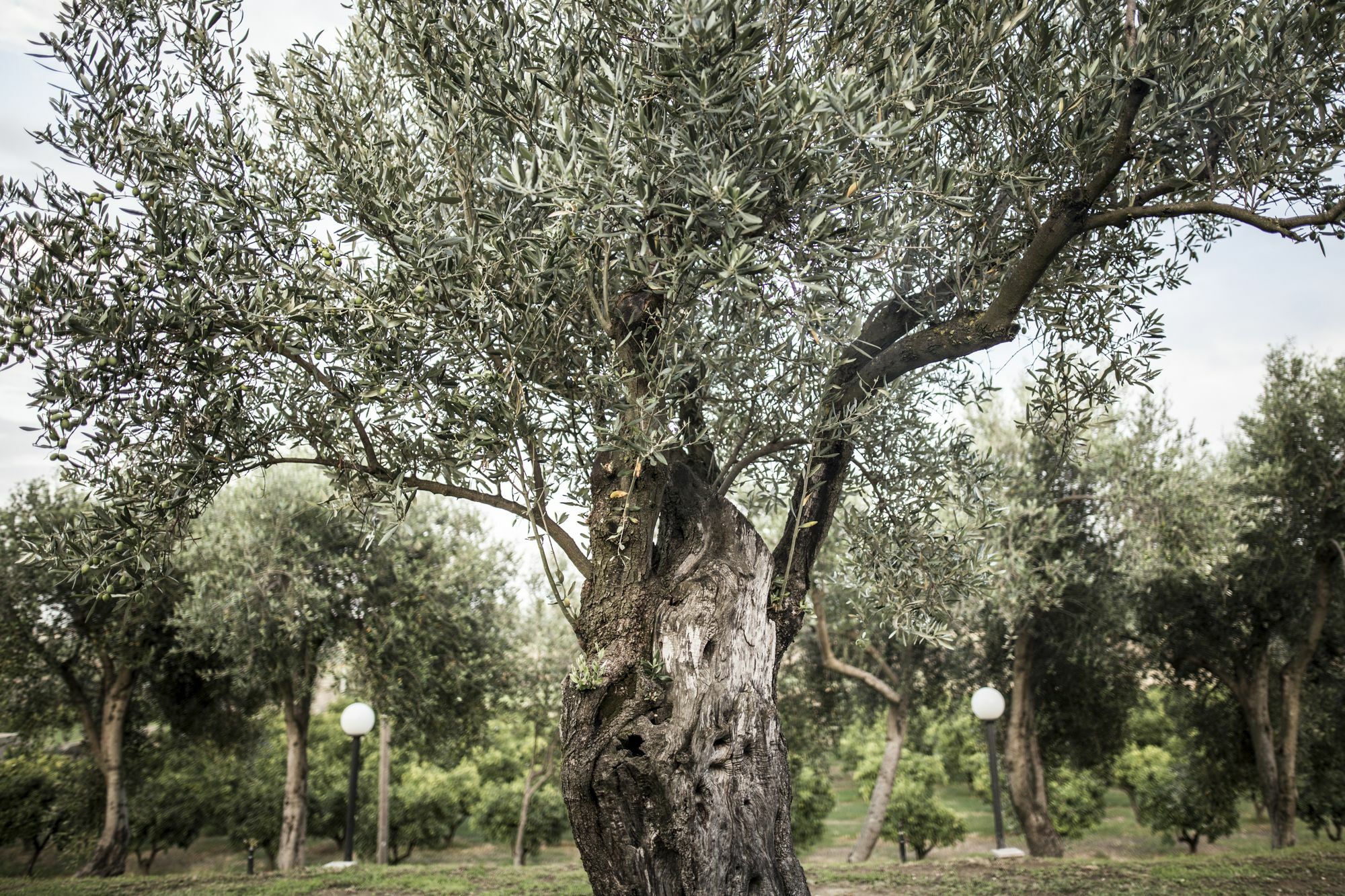 Agriturismo Il Giriatello 크로토네 외부 사진